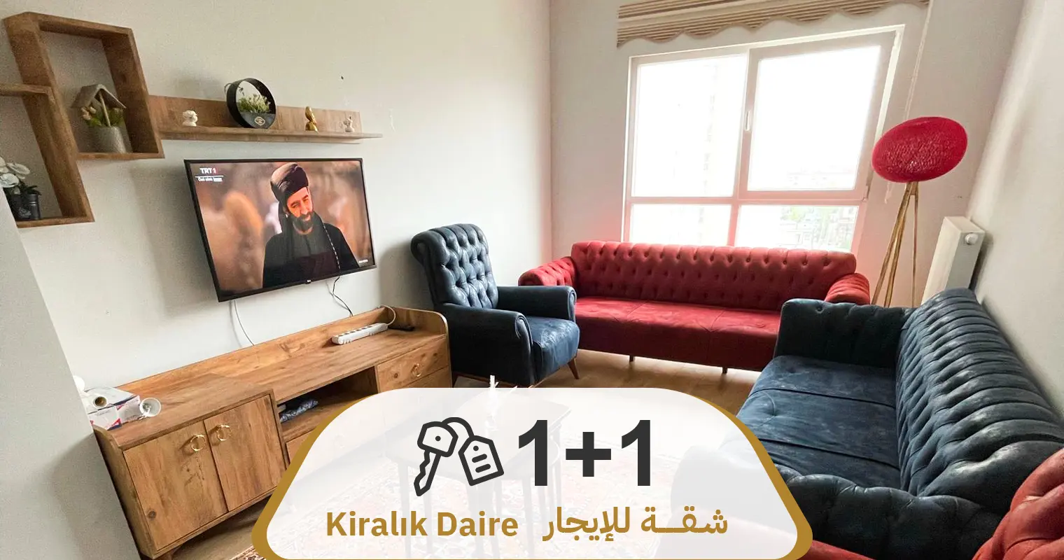 عرض رقم 719 شقة 1+1 مفروشة للإيجار NLOGO